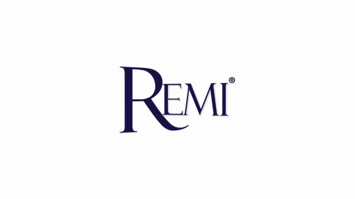 Remi project screenshot